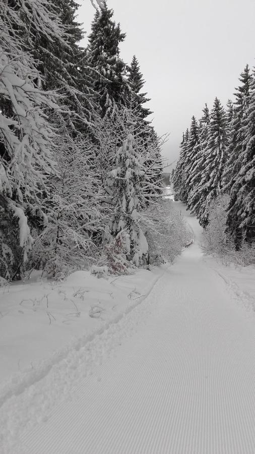 Haus Tippe Apartment Braunlage Bagian luar foto